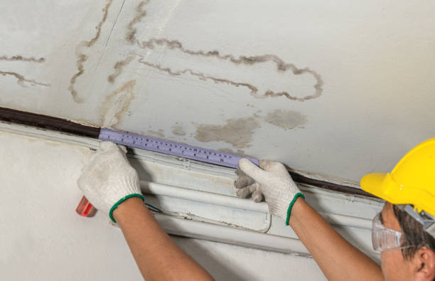 24/7 Emergency Structural Drying experts in High Bridge, WA