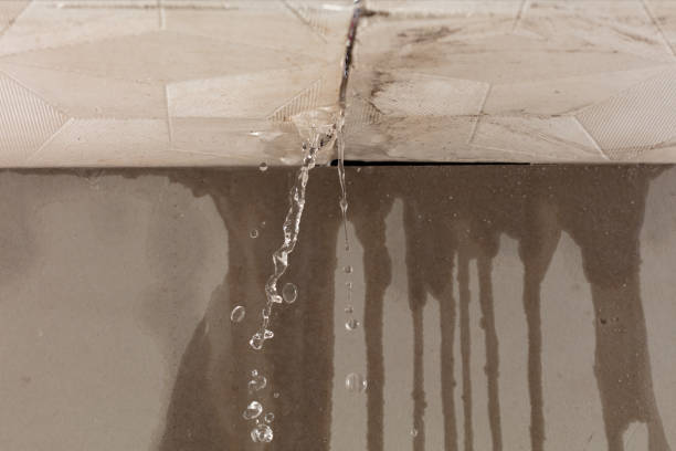 Professional Structural Drying technician working in High Bridge, WA